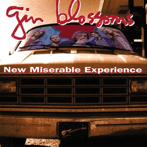 Image for 'New Miserable Experience'