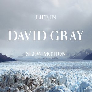 Image for 'Life in Slow Motion (Deluxe)'