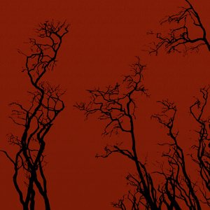 Image for 'Solace'