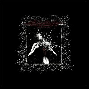 Image for 'Awakening'