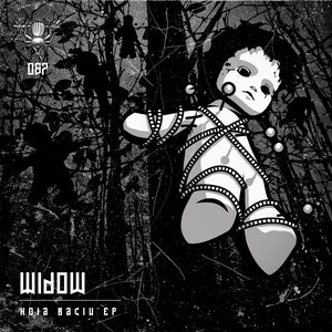 Image for 'Hoia Baciu'