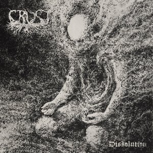“Dissolution”的封面