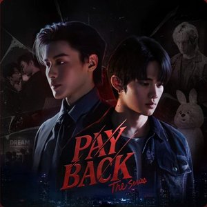 Image for 'PAYBACK THE SERIES'