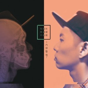 Image for '你所不知道的杜振熙之內部整修'