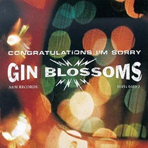 Image for 'Congratulations I’m Sorry'
