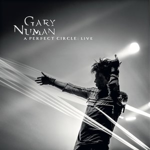 Bild für 'A Perfect Circle (Live at OVO Arena Wembley)'