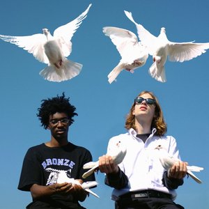 Zdjęcia dla 'Birds Fly By Night'