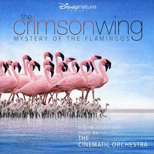 Image for 'The Crimson Wing: Mystery of the Flamingos'