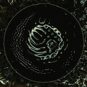 Image for 'Space to Dive'