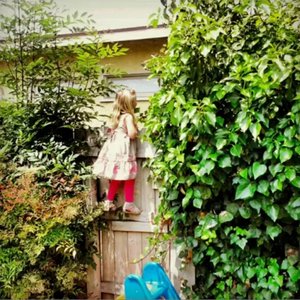 'Yesterday's Advice'の画像