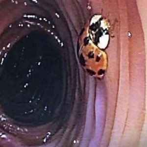 'athoth a go go (FUCK)'の画像