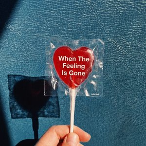 Image for 'When the Feeling Is Gone'
