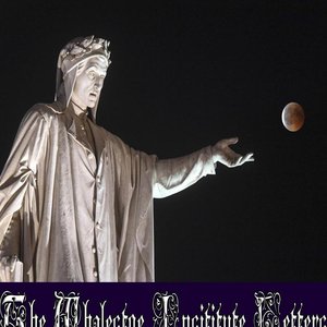 Image for 'The Whalestoe Insititute Letters'