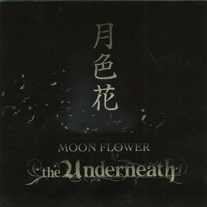 Zdjęcia dla 'Moon Flower'
