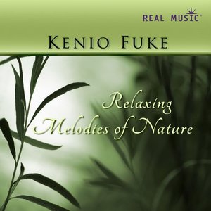 'Relaxing Melodies of Nature' için resim