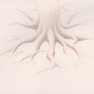 Image for 'Organs'