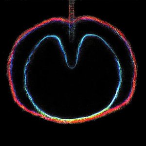 Image for 'Wasp Star (Apple Venus Volume 2)'