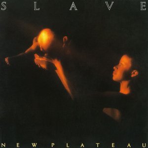 Image for 'New Plateau'