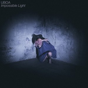 Image for 'Impossible Light'