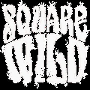 Image for 'Square Wild'