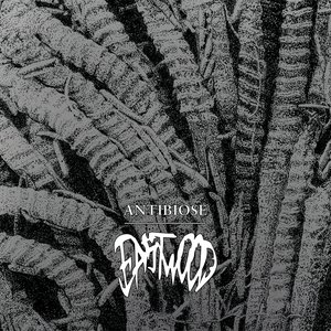 Image for 'Antibiose'