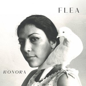 Image for 'Honora'