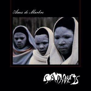Image for 'ames de marbe'