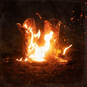 Image for 'Walk Through Fire'
