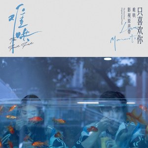 Image for '电视剧《难哄》影视原声带·只喜欢你Love Moments'