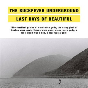 Immagine per 'Last Days Of Beautiful'
