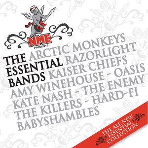 Image for 'NME Presents The Essential Bands'