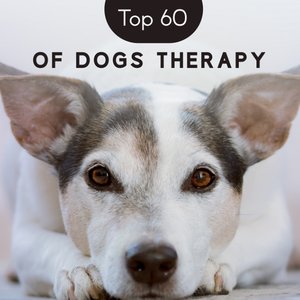 Image for 'Top 60 of Dogs Therapy (Soothing Relaxation Background for Calm Time, Canine Whisperer, Lullabies for Puppies, Only for Dogs Ear)'