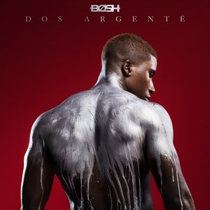 Image for 'Dos argenté'