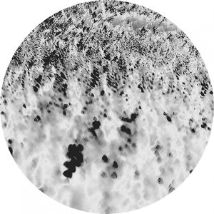 'Noctilucent' için resim