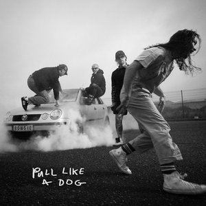 Image for 'Pull Like a Dog'