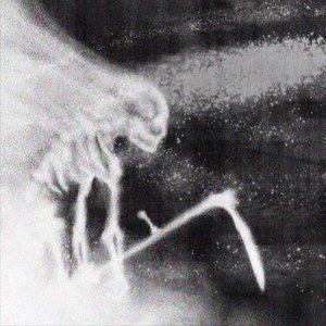 Image for 'Bones, Grayera'
