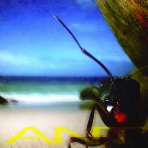 Image for 'Ant'