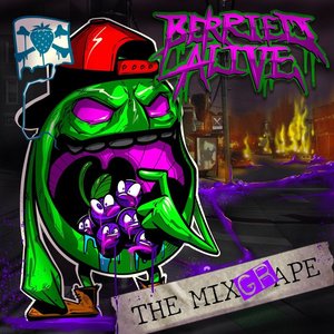 Imagen de 'THE MIXGRAPE'
