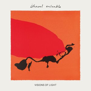 Immagine per 'Visions Of Light'