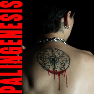 Image pour 'MORTIS: PALINGENESIS'