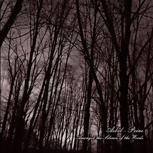 Immagine per 'Amongst The Silence Of The Woods'