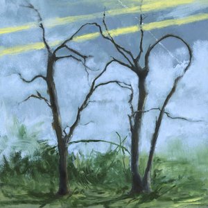 Image for 'Where the Earth Bends'