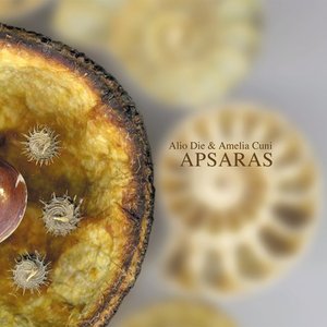 Image for 'Apsaras'