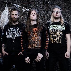 Immagine per 'Celestial Scourge'