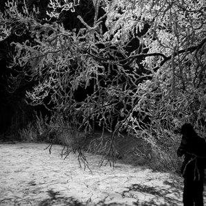 Immagine per 'Svarte Greiner'