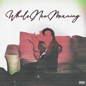 Image for 'Whole New Meaning'