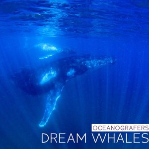 Imagem de 'Dream Whales'