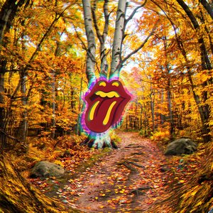 Bild für 'Autumn Kiss'