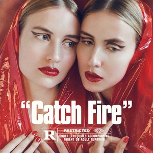 Image for 'Catch Fire'