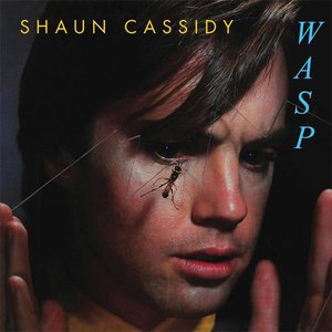 Image for 'Wasp'